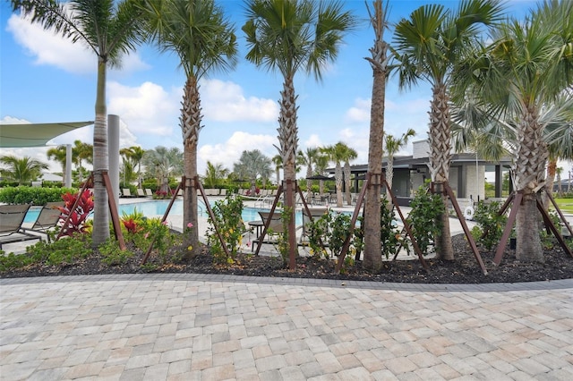 10244 Shadow Branch Dr, Tampa, FL 33647 - view of home's community featuring a swimming pool
