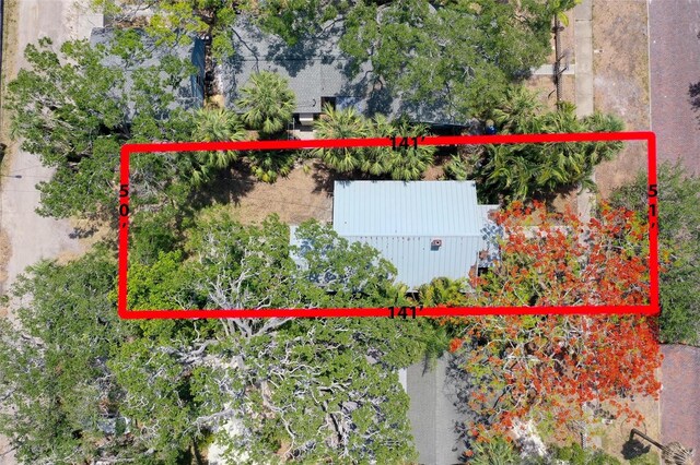 317 19th Ave S, Saint Petersburg, FL 33705 - photo 2