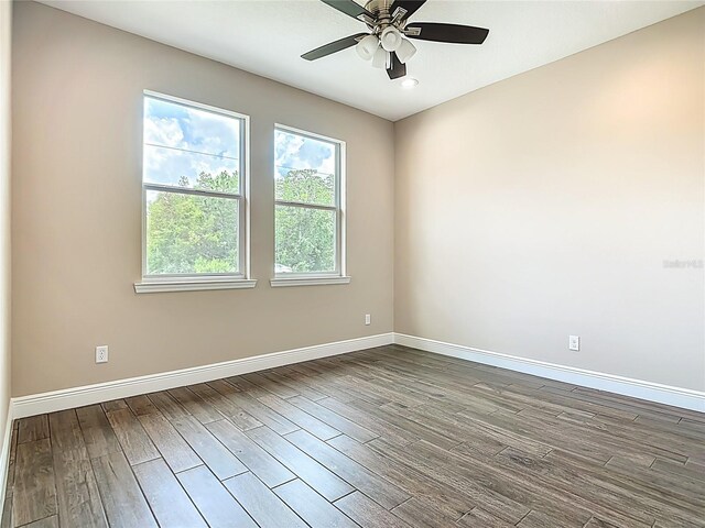 19041 Mardi Gras St, Orlando, FL 32833 - photo 24