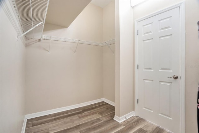 30753 Pumpkin Ridge Dr, Wesley Chapel, FL 33543 - photo 17
