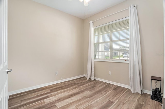 30753 Pumpkin Ridge Dr, Wesley Chapel, FL 33543 - photo 18