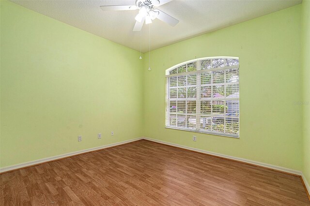 17910 Timber View St, Tampa, FL 33647 - photo 10