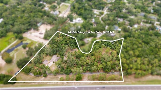 16608 Livingston Ave, Lutz, FL 33559 - photo 2