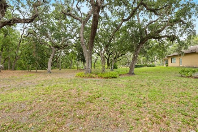 16608 Livingston Ave, Lutz, FL 33559 - photo 59