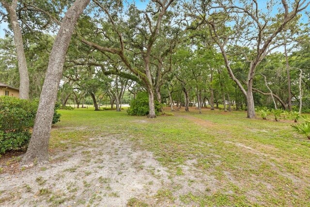 16608 Livingston Ave, Lutz, FL 33559 - photo 60