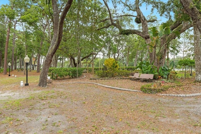 16608 Livingston Ave, Lutz, FL 33559 - photo 61