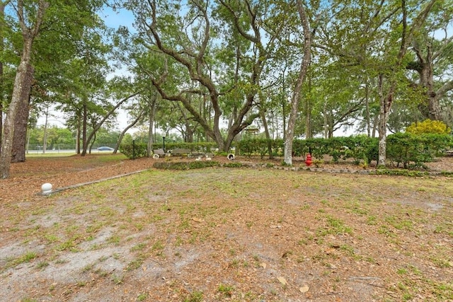 16608 Livingston Ave, Lutz, FL 33559 - photo 62