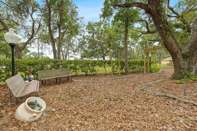 16608 Livingston Ave, Lutz, FL 33559 - photo 63