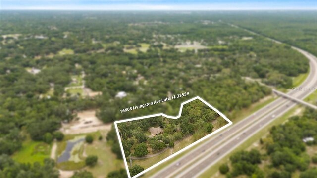 16608 Livingston Ave, Lutz, FL 33559 - photo 64