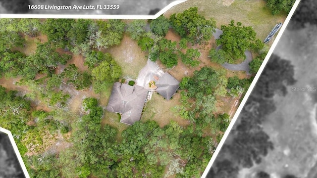 16608 Livingston Ave, Lutz, FL 33559 - photo 65