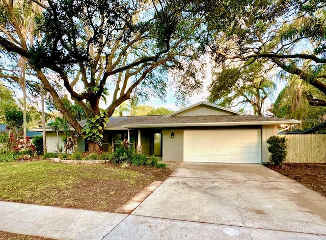 939 Woodland Dr, Palm Harbor, FL 34683 - photo 2