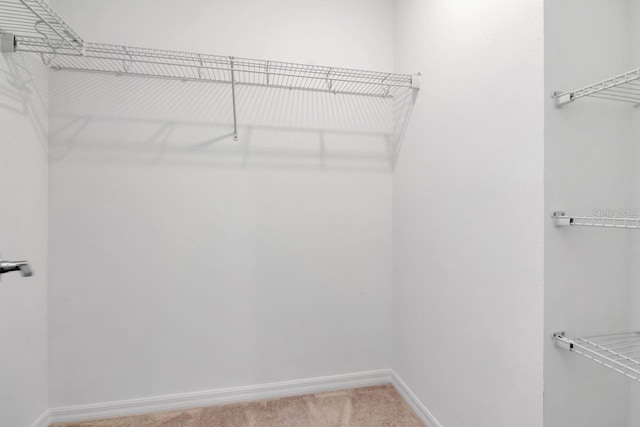 34234 Polacca Ln, Wesley Chapel, FL 33543 - spacious closet with light colored carpet