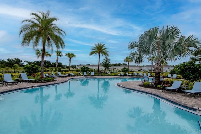 34234 Polacca Ln, Wesley Chapel, FL 33543 - community pool with a patio