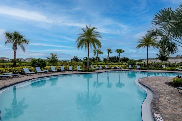 34234 Polacca Ln, Wesley Chapel, FL 33543 - community pool featuring a patio
