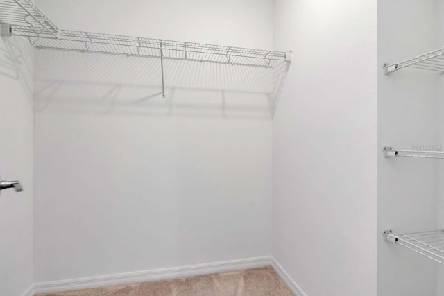 34234 Polacca Ln, Wesley Chapel, FL 33543 - spacious closet with light colored carpet