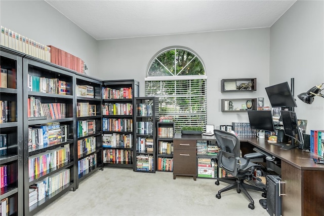 9608 Greenpointe Dr, Tampa, FL 33626 - view of carpeted office space