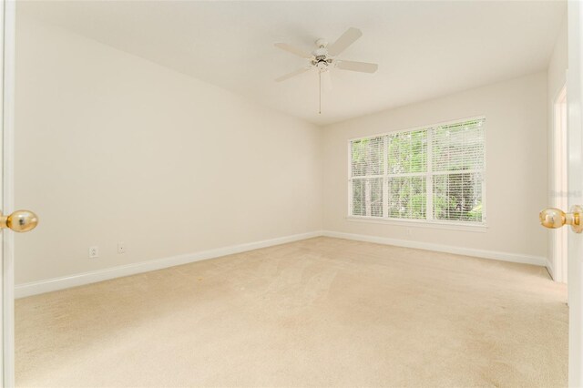 3415 Heards Ferry Dr, Tampa, FL 33618 - photo 24