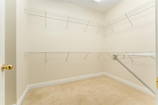 3415 Heards Ferry Dr, Tampa, FL 33618 - photo 28