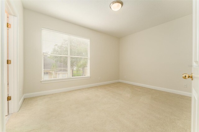 3415 Heards Ferry Dr, Tampa, FL 33618 - photo 29