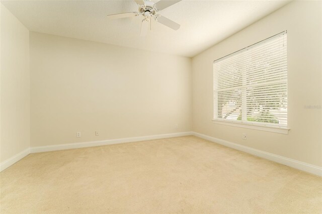 3415 Heards Ferry Dr, Tampa, FL 33618 - photo 33