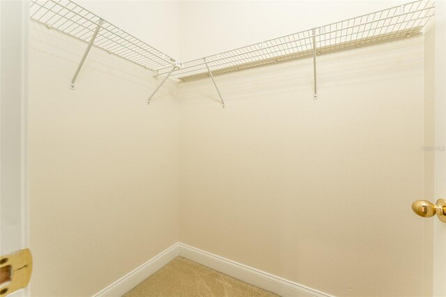 3415 Heards Ferry Dr, Tampa, FL 33618 - photo 35