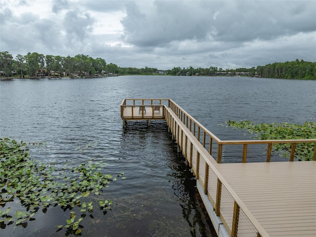 3415 Heards Ferry Dr, Tampa, FL 33618 - photo 45