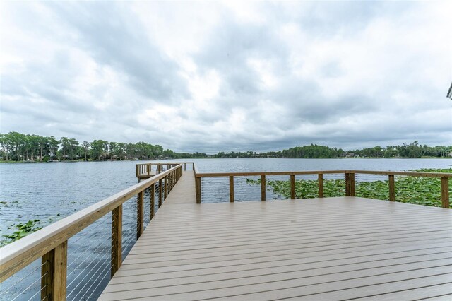 3415 Heards Ferry Dr, Tampa, FL 33618 - photo 50