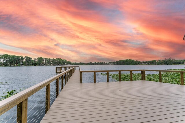 3415 Heards Ferry Dr, Tampa, FL 33618 - photo 53