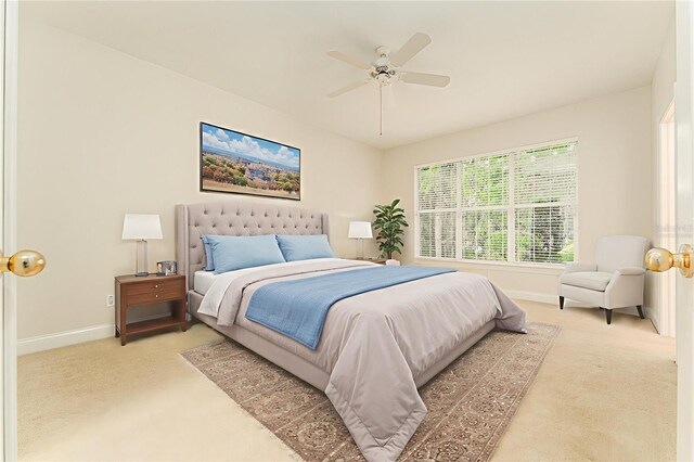 3415 Heards Ferry Dr, Tampa, FL 33618 - photo 23
