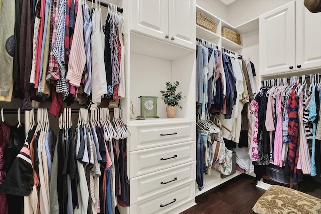 15415 Mulholland Rd, Parrish, FL 34219 - walk in closet featuring dark wood-style floors