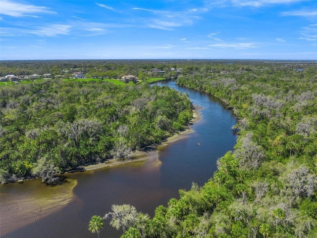 15415 Mulholland Rd, Parrish, FL 34219 - bird's eye view of a heavily wooded area and a nearby body of water