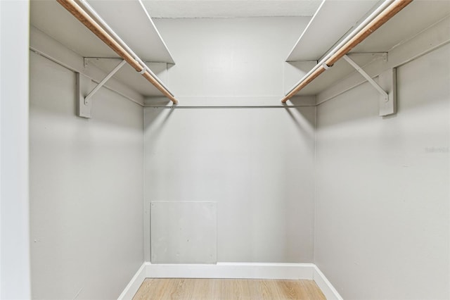 2960 59th St S Unit 303, Gulfport, FL 33707 - spacious closet featuring light wood-style floors