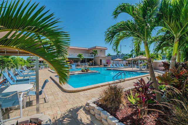 2960 59th St S Unit 303, Gulfport, FL 33707 - community pool featuring a patio area