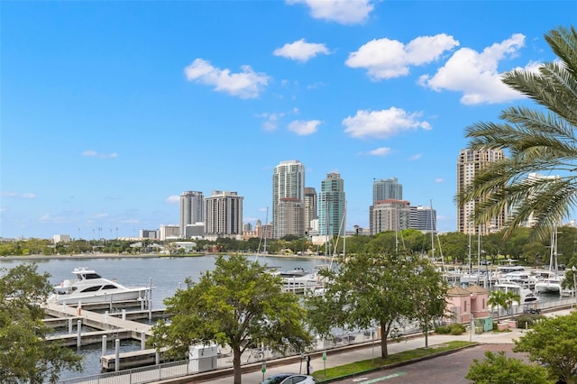146 26th Ave NE, Saint Petersburg, FL 33704 - view of city skyline with a nearby body of water