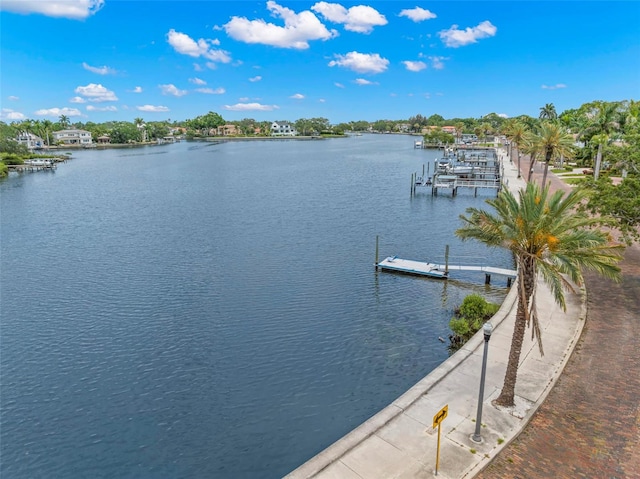 146 26th Ave NE, Saint Petersburg, FL 33704 - photo 2