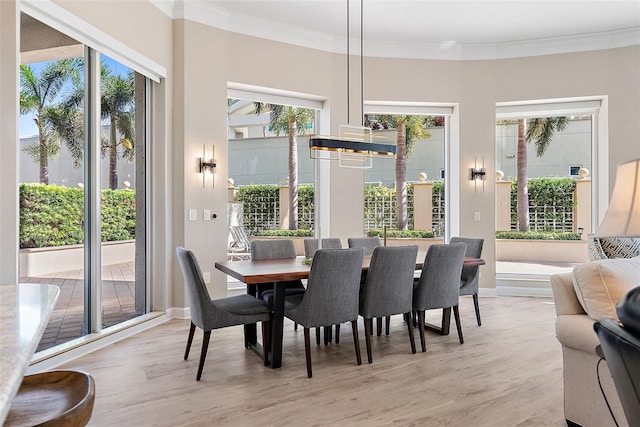 100 Beach Dr NE Unit 301, Saint Petersburg, FL 33701 - dining room featuring light wood finished floors and ornamental molding