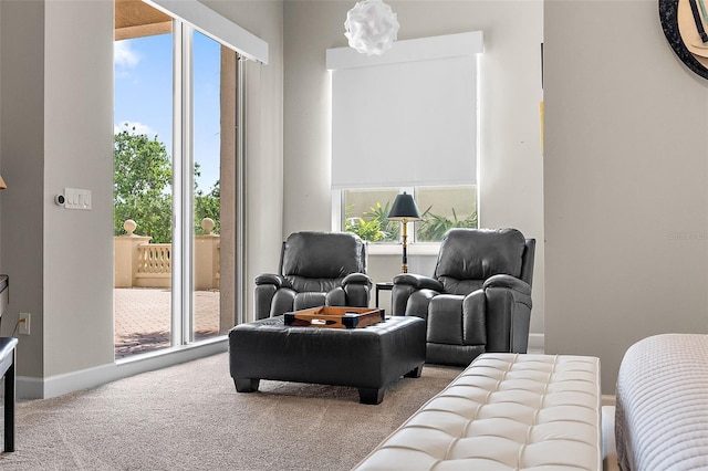 100 Beach Dr NE Unit 301, Saint Petersburg, FL 33701 - sitting room featuring carpet flooring, healthy amount of natural light, and baseboards
