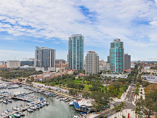 100 Beach Dr NE Unit 301, Saint Petersburg, FL 33701 - view of city skyline featuring numerous boat docks and a nearby body of water