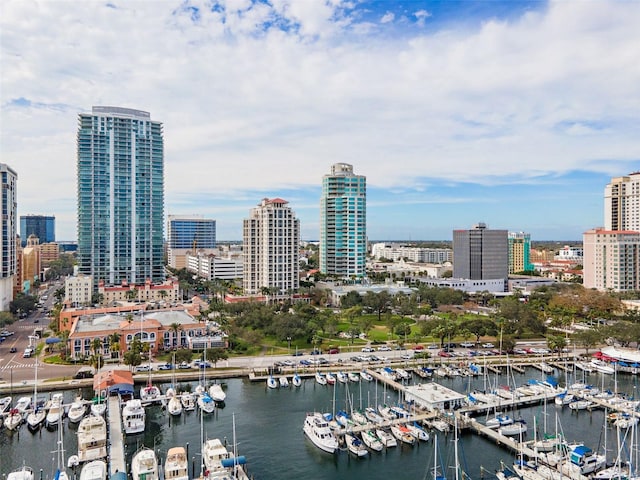 100 Beach Dr NE Unit 301, Saint Petersburg, FL 33701 - view of city featuring numerous boat docks and a large body of water