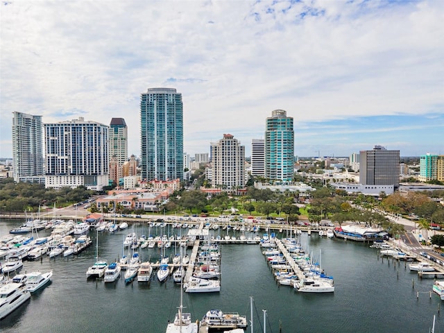 100 Beach Dr NE Unit 301, Saint Petersburg, FL 33701 - bird's eye view of numerous boat docks, skyline, and a nearby body of water