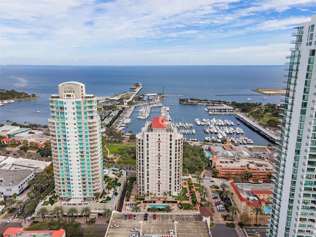 100 Beach Dr NE Unit 301, Saint Petersburg, FL 33701 - view of urban area with a nearby body of water and numerous boat docks