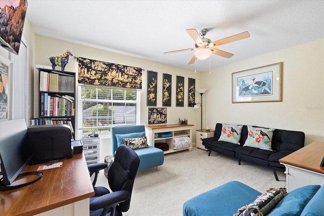 4047 Eagle Cove W Dr, Palm Harbor, FL 34685 - carpeted home office featuring ceiling fan