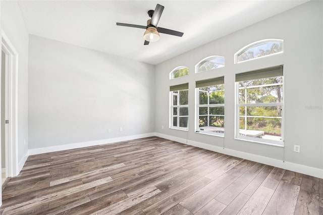 18712 Forest Glen Ct, Tampa, FL 33647 - photo 19
