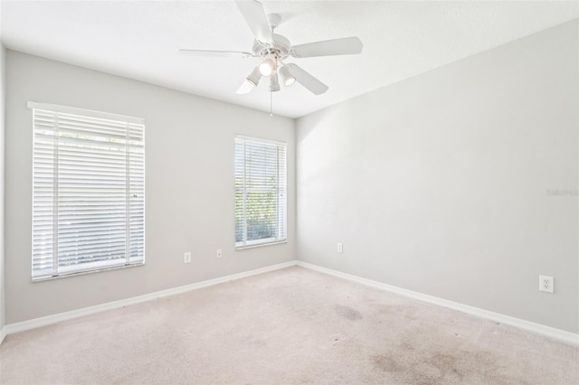 18712 Forest Glen Ct, Tampa, FL 33647 - photo 25