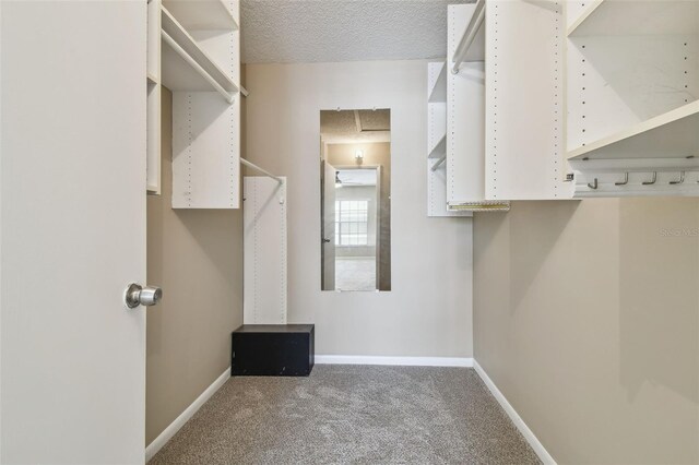 3389 Crystal Ct E J, Unit J, Palm Harbor, FL 34685 - spacious closet with carpet flooring