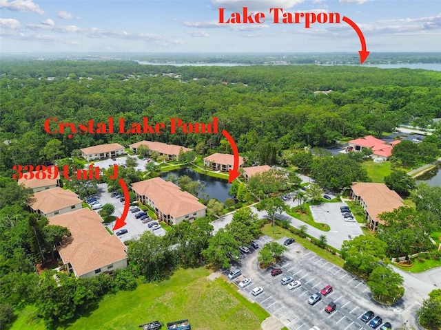 3389 Crystal Ct E J, Unit J, Palm Harbor, FL 34685 - aerial view of a heavily wooded area and a large body of water