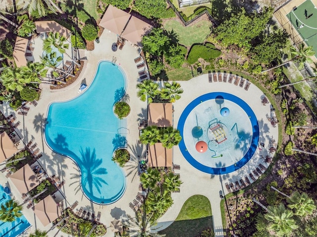 27427 Mistflower Dr, Wesley Chapel, FL 33544 - bird's eye view of a pool area