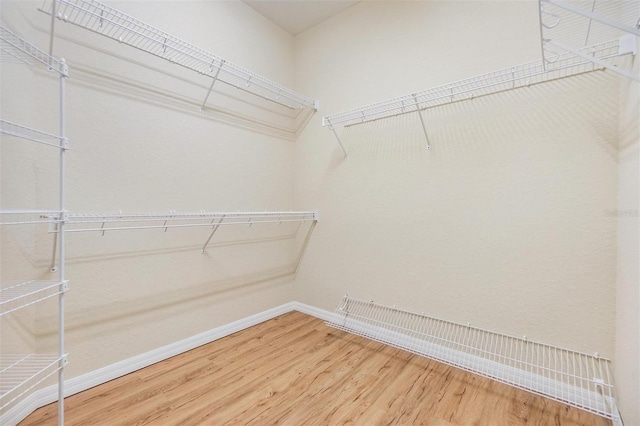 27427 Mistflower Dr, Wesley Chapel, FL 33544 - spacious closet with wood finished floors