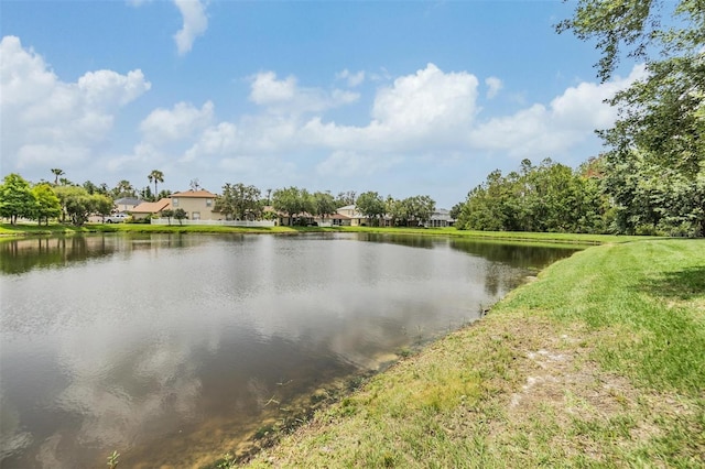 27427 Mistflower Dr, Wesley Chapel, FL 33544 - water view