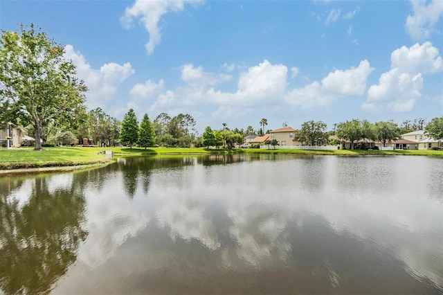 27427 Mistflower Dr, Wesley Chapel, FL 33544 - water view
